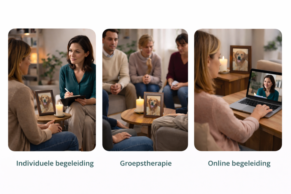 Overzicht van individuele, groeps- en online rouwbegeleiding bij verlies van een hond